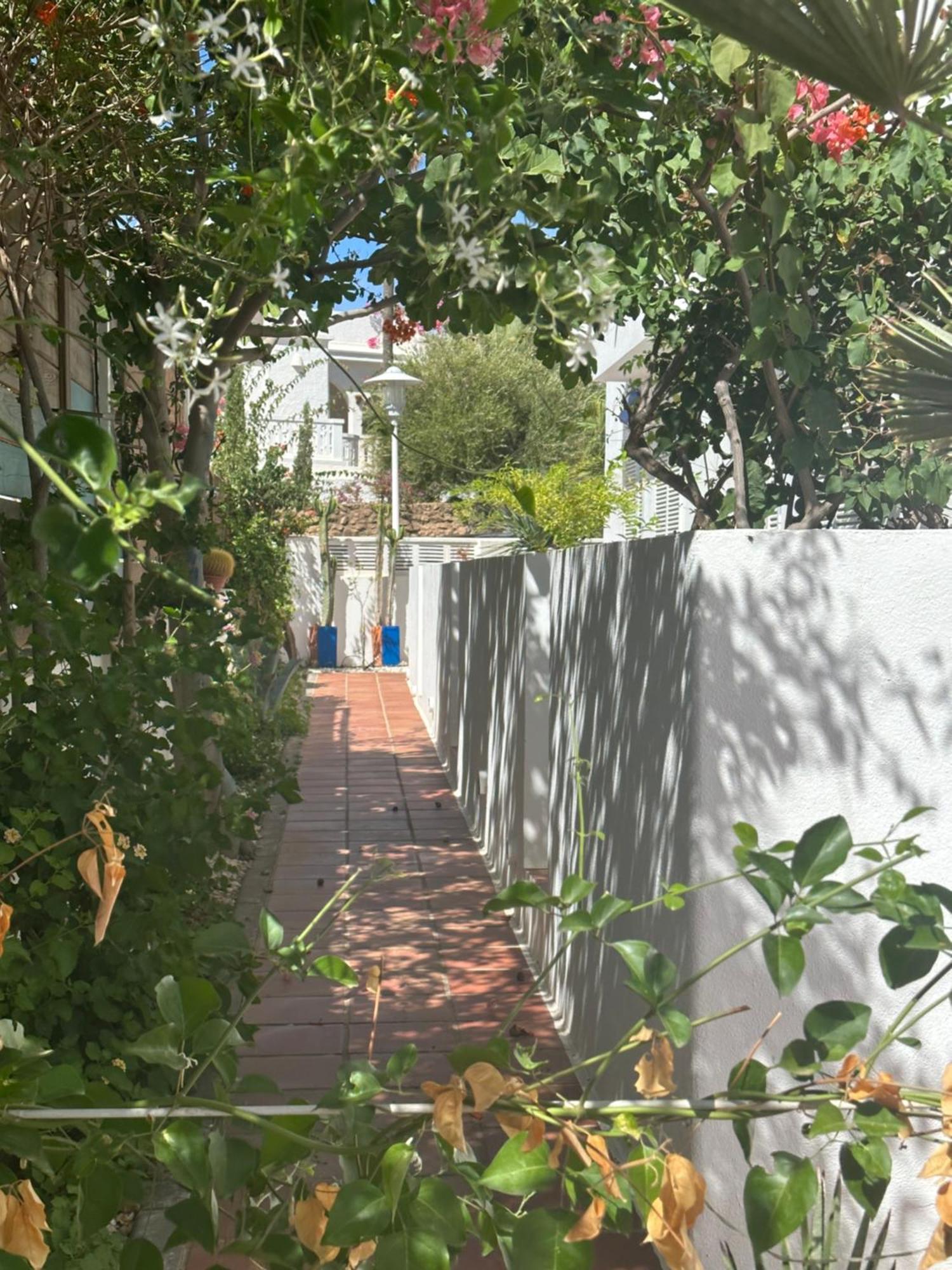 Appartamento Arto Blanco Agua Amarga  Esterno foto