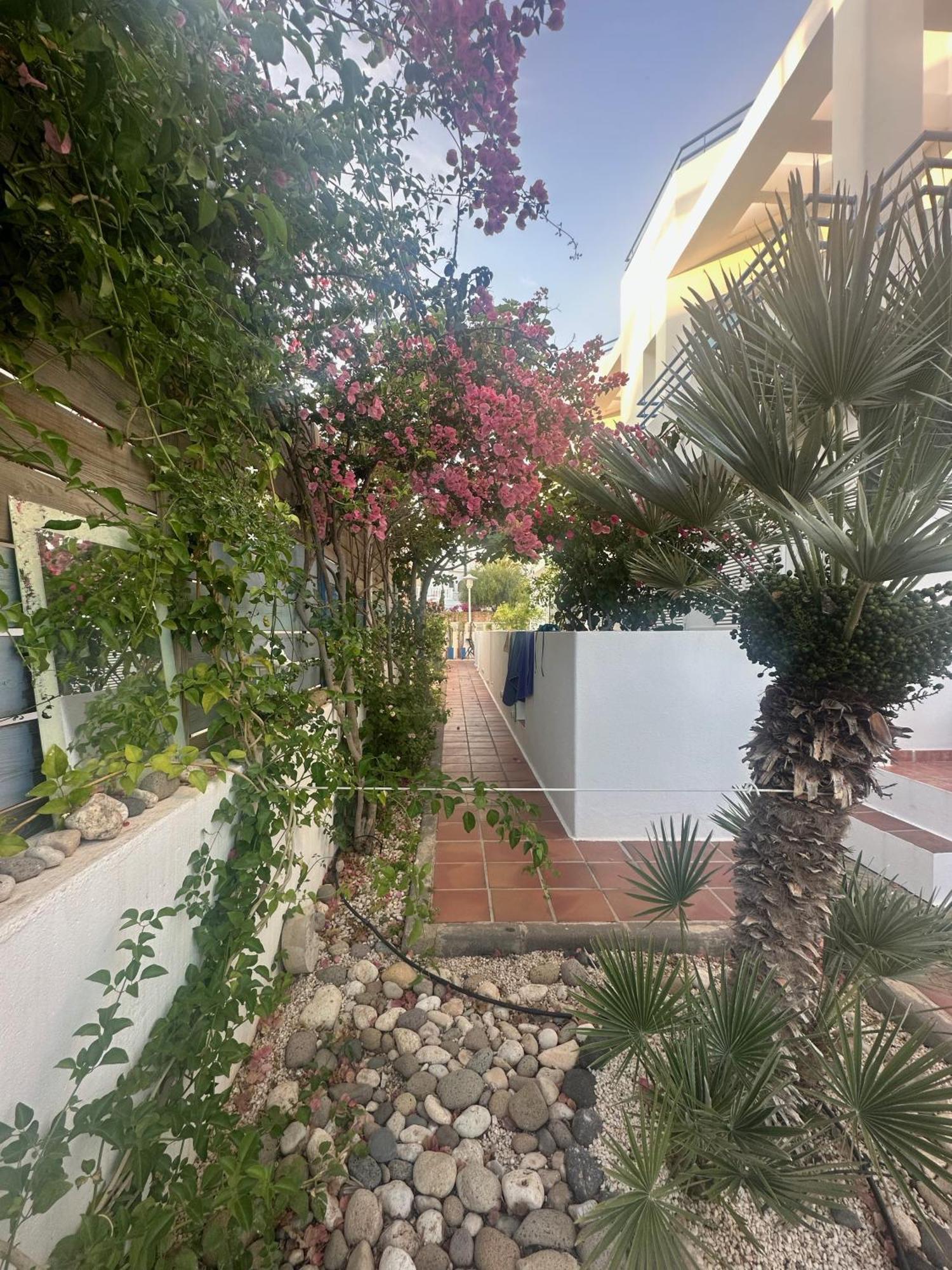 Appartamento Arto Blanco Agua Amarga  Esterno foto